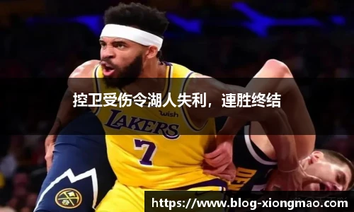 控卫受伤令湖人失利，連胜终结