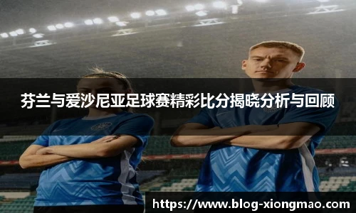 芬兰与爱沙尼亚足球赛精彩比分揭晓分析与回顾